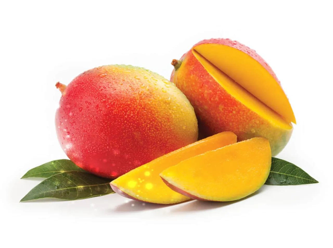 Zdjęcie Czy koty mogą jeść mango? Bezpieczne sposoby na podawanie owoców