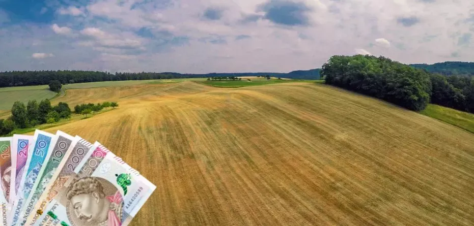 Zdjęcie Czy wnioski o dopłaty będą przedłużone? Sprawdź nowe terminy i kary