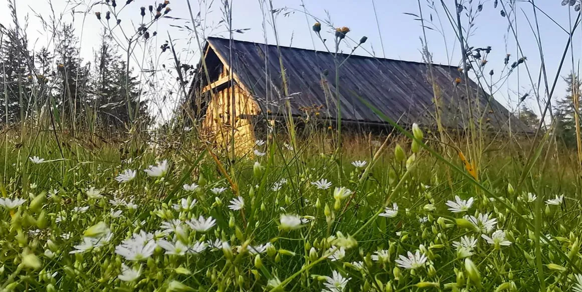 Zdjęcie Bacówka Gorce - odkryj urok tradycyjnych chat góralskich w naturze