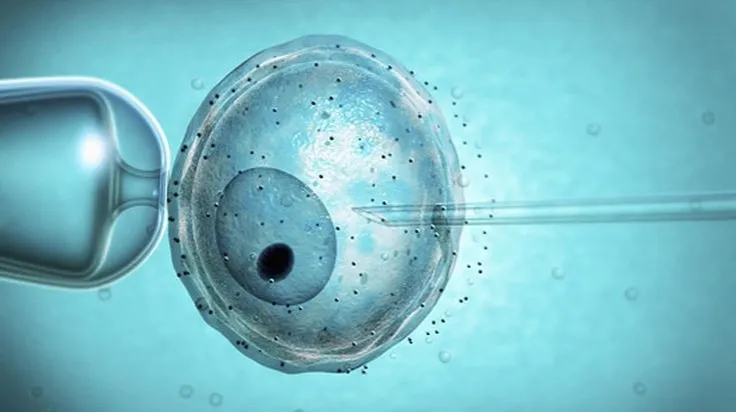 Zdjęcie Czy in vitro to grzech? Etyka i nauczanie Kościoła katolickiego.