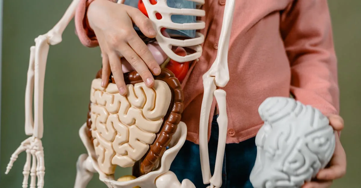 Zdjęcie Co badanie neuroprzekaźników zdradza o Twoim umyśle? To fakty