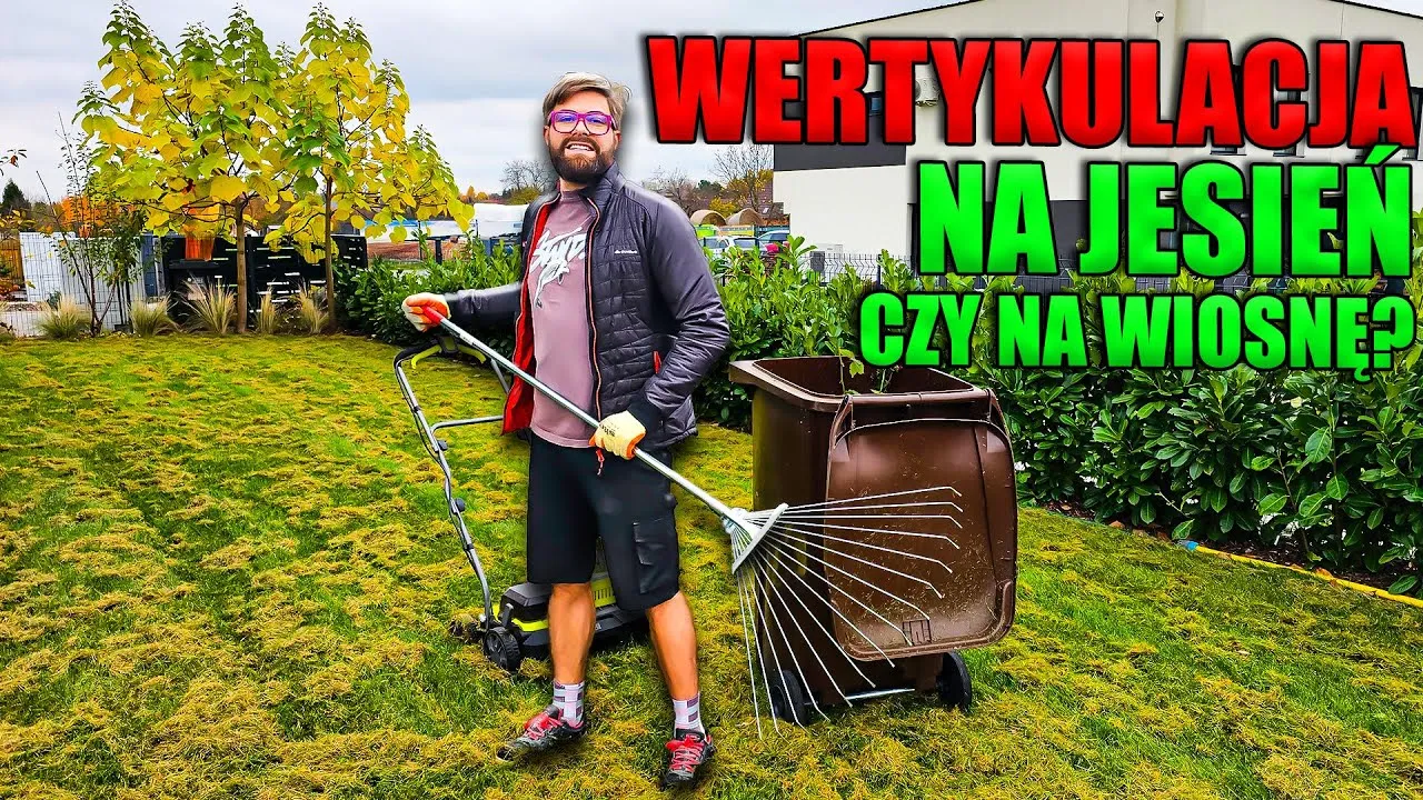 Zdjęcie Wertykulacja trawnika jesienią - czy warto to robić przed zimą?