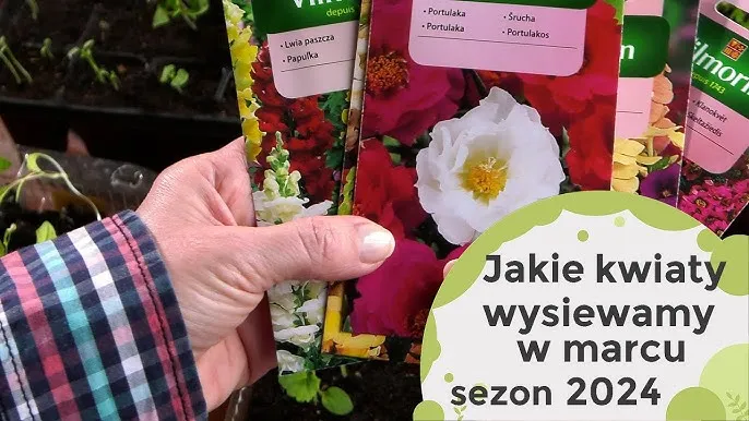 Zdjęcie Kwiaty w marcu: Sadź je teraz! Praktyczny przewodnik