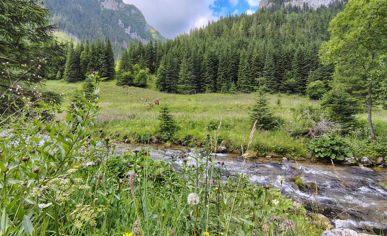 Zdjęcie Dolina Kościeliska - długość trasy i wszystko co musisz wiedzieć przed wycieczką
