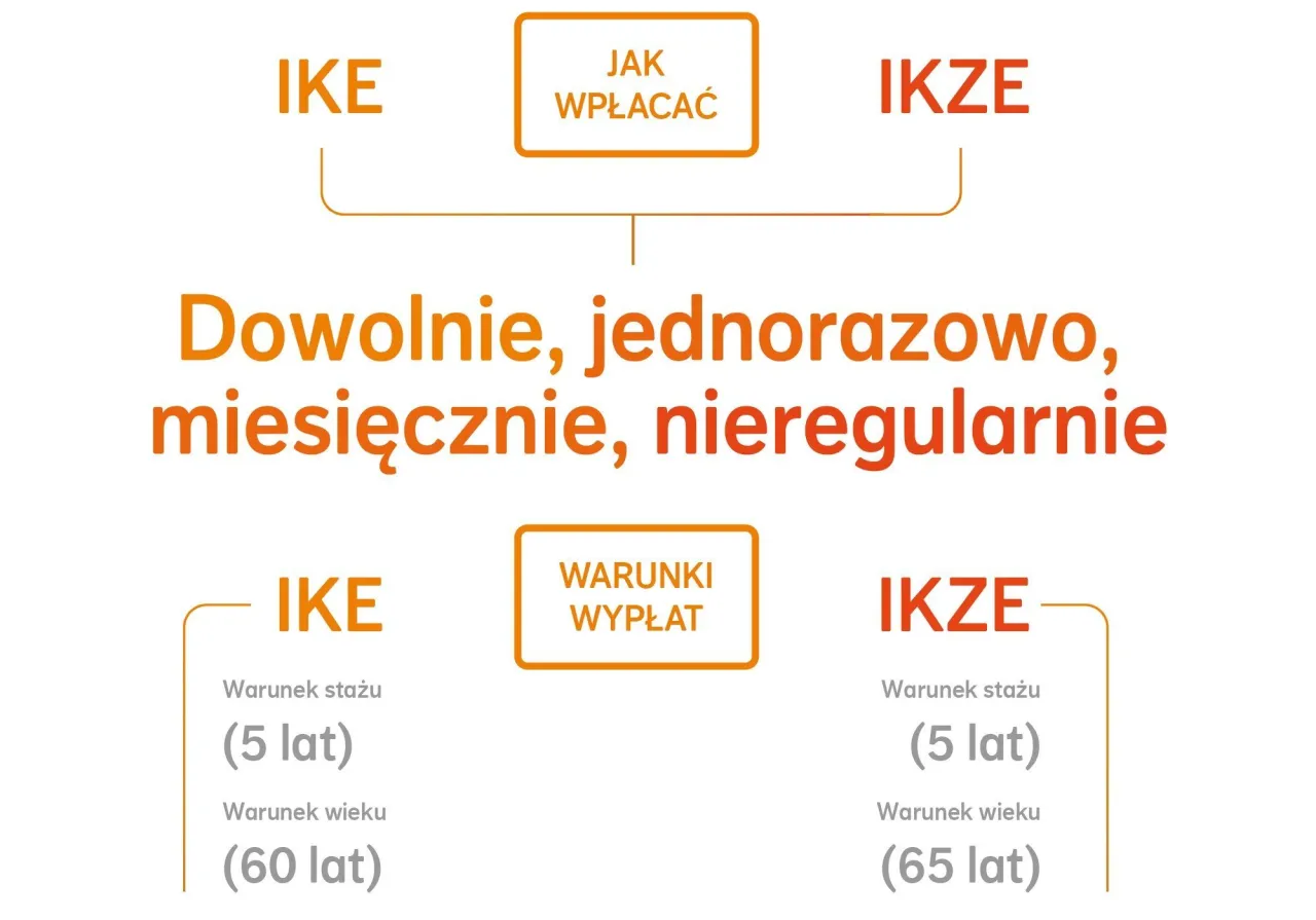 Zdjęcie Czy towarzystwo funduszy inwestycyjnych może stworzyć IKE? Sprawdź to!