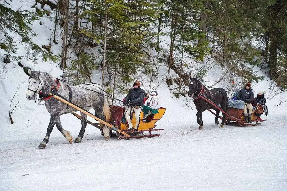Zdjęcie Niezwykły sylwester w dolinie chochołowskiej: kulig, muzyka i regionalne menu