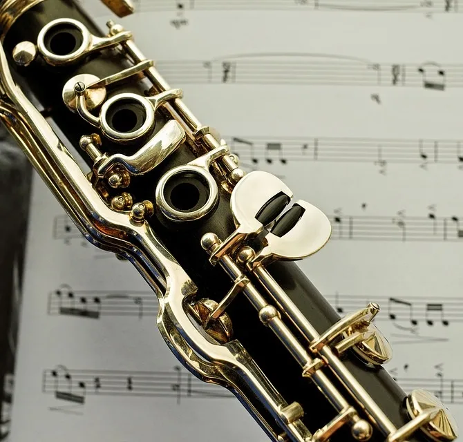 Zdjęcie Klarnet Buffet czy Yamaha - który wybór jest lepszy dla Ciebie?