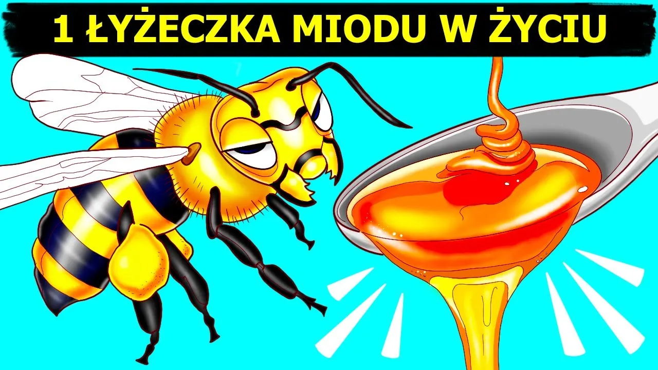 Zdjęcie Czy miód to odchody pszczół? Prawda o produkcji miodu i pszczołach