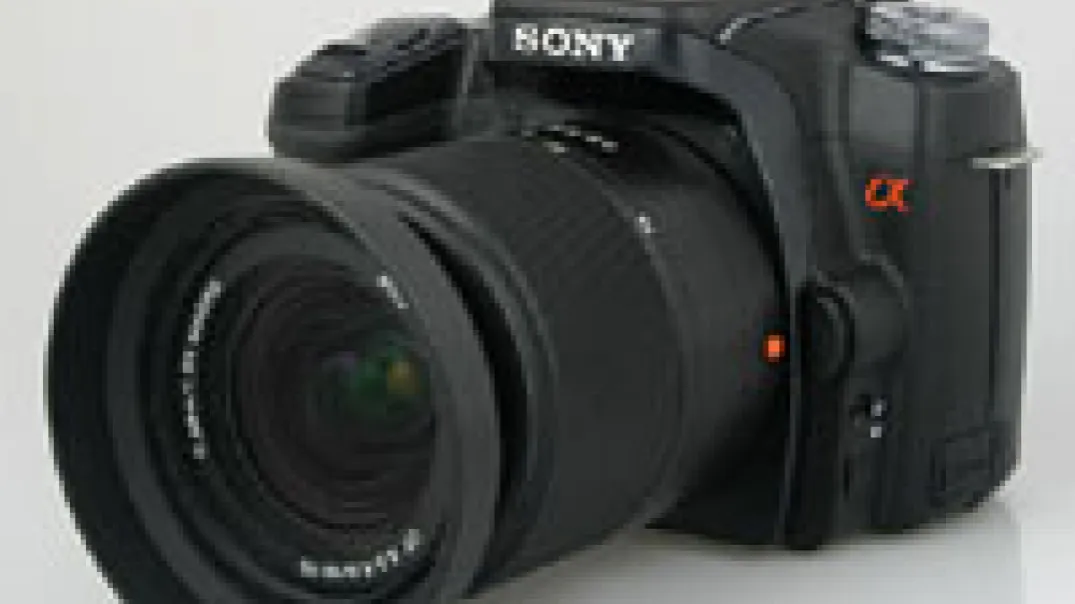 Zdjęcie Sony Alpha 100 w 2026: Czy warto kupić? Recenzja i porady
