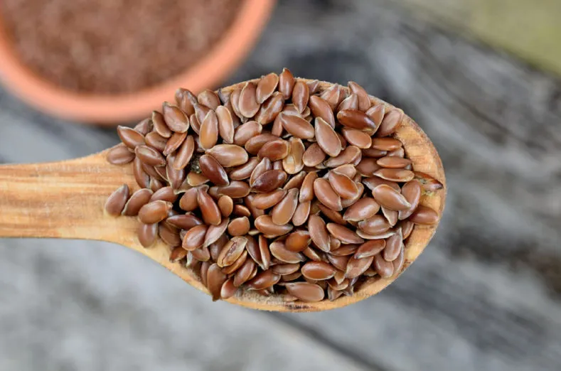 Zdjęcie Czy siemię lniane ma gluten? Odkryj prawdę o jego bezpieczeństwie