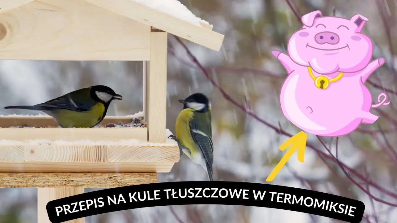 Zdjęcie Jak włączyć mieszanie w termomiksie i uzyskać idealne rezultaty