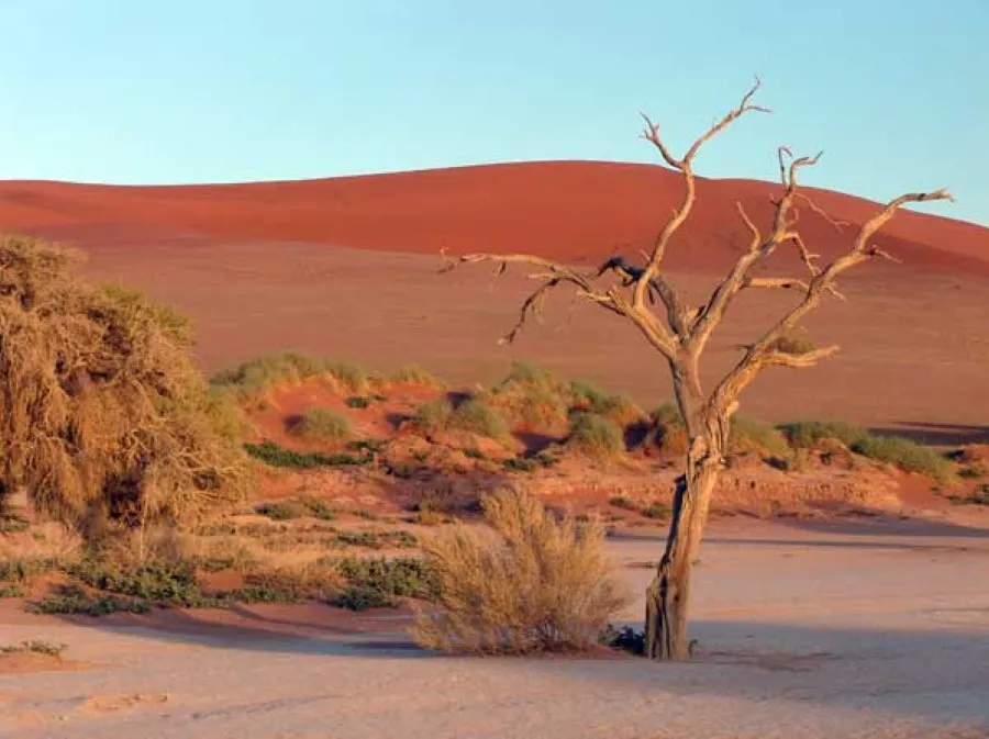 Zdjęcie Największe pustynie w Afryce: Sahara, Kalahari, Namib i ich tajemnice