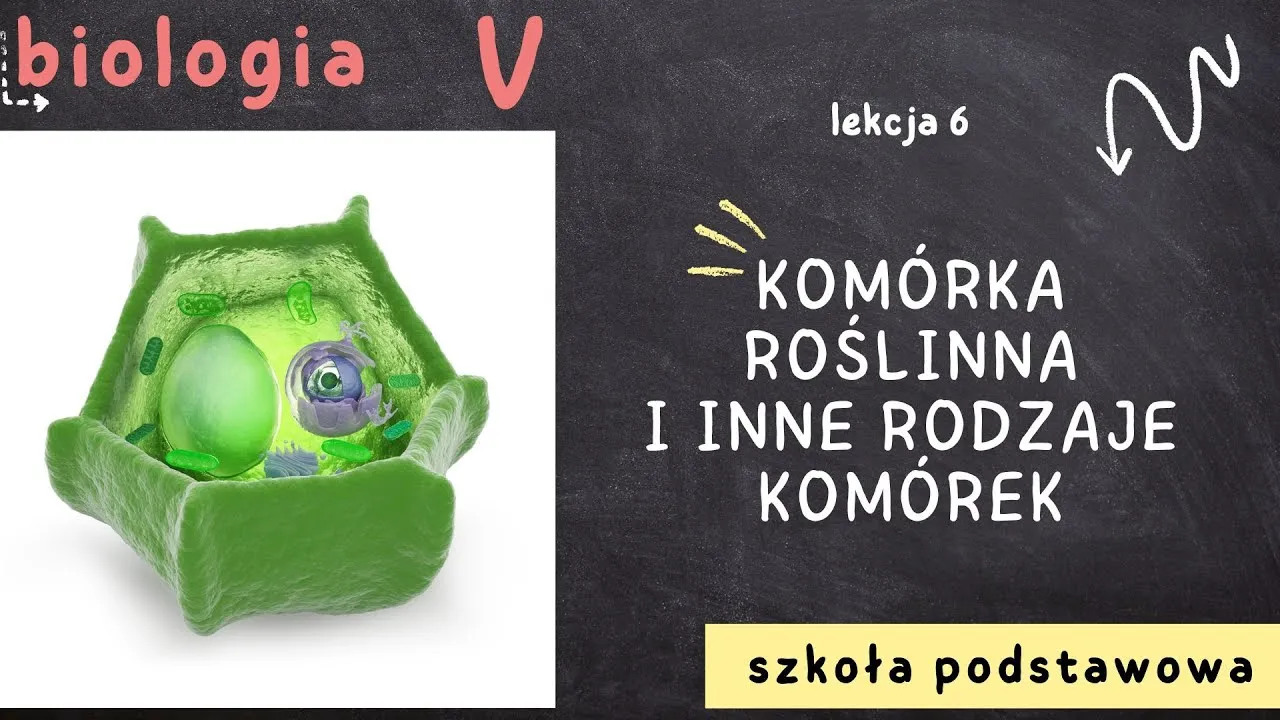 Zdjęcie Jak wygląda komórka roślinna? Zaskakujące cechy i struktura komórki