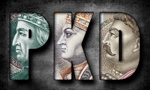 Zdjęcie Pkd czy pkwiu – kluczowe różnice, które musisz znać dla działalności