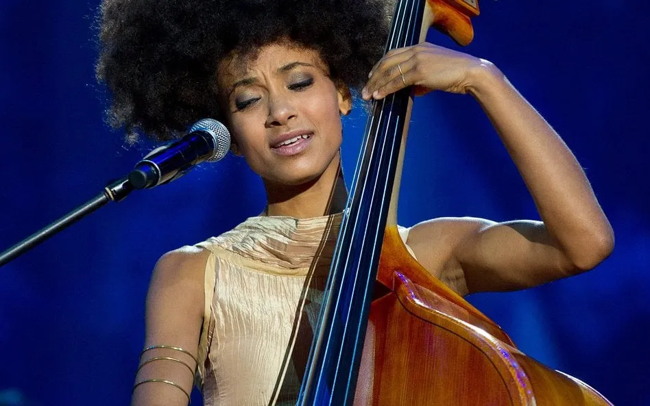 Zdjęcie Bielska Zadymka Jazzowa - wyjątkowe wydarzenie jazzowe, które musisz znać