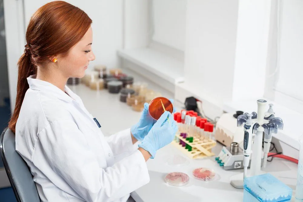 Zdjęcie Laboratoria przyszłości jaki paragraf - kluczowe przepisy, które musisz znać