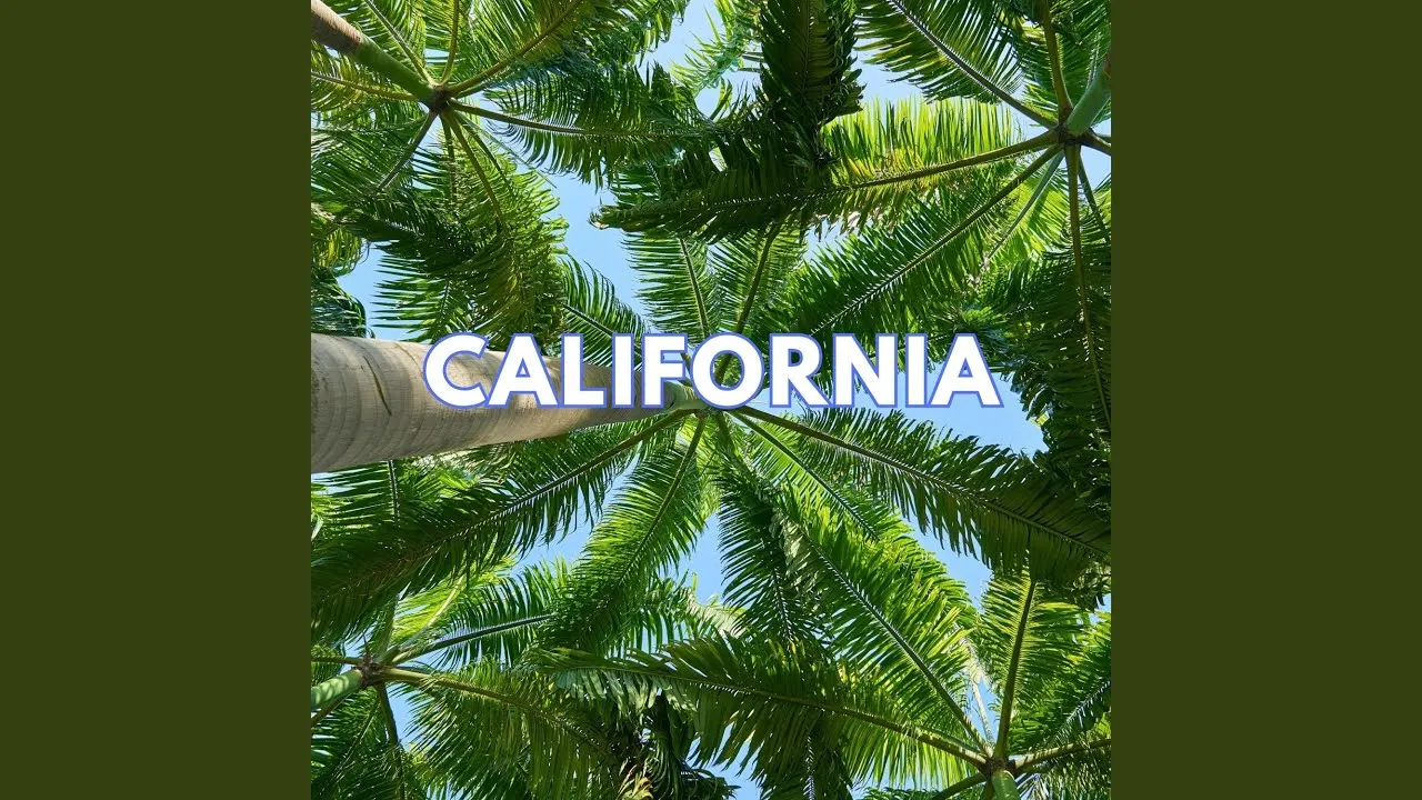 Zdjęcie Poznaj wszystkich wykonawców piosenki California: historia obu wersji