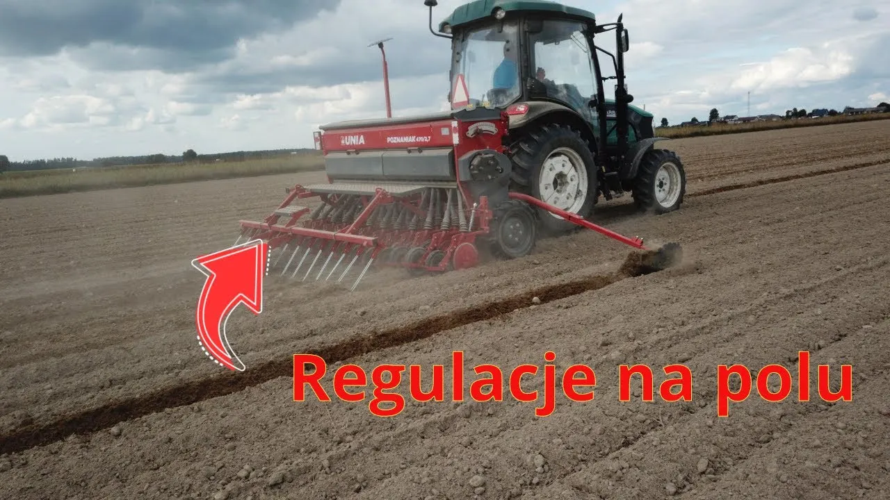 Zdjęcie Ile się sieje żyta hybrydowego na hektar? Sprawdź najlepsze normy