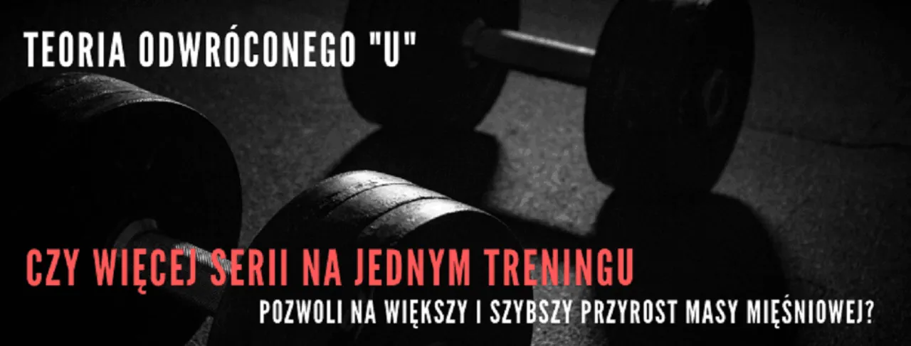 Zdjęcie Ile ćwiczeń na jednym treningu, aby osiągnąć maksymalne efekty?