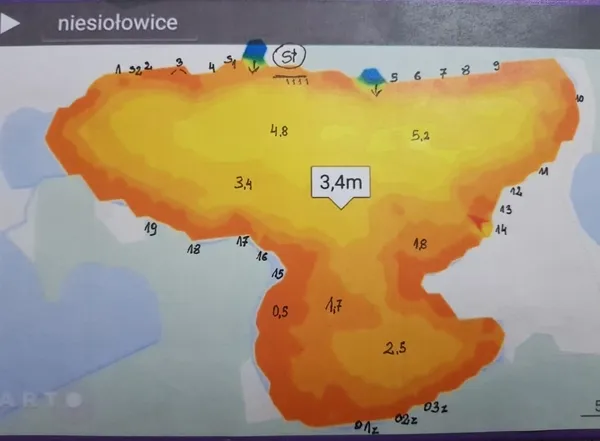 Zdjęcie Łowisko Niesiołowice – idealne miejsce na wędkarską przygodę w naturze