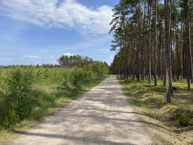 Zdjęcie Wdzydze Tucholskie atrakcje - najlepsze miejsca i aktywności na urlop