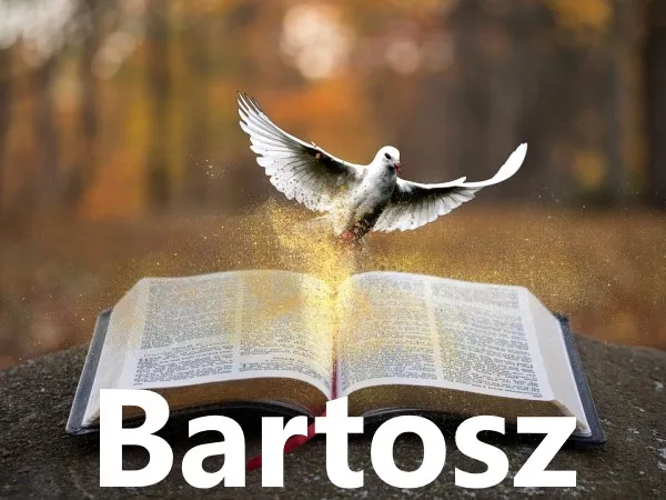 Zdjęcie Skąd pochodzi imię Bartosz? Odkryj jego fascynującą historię