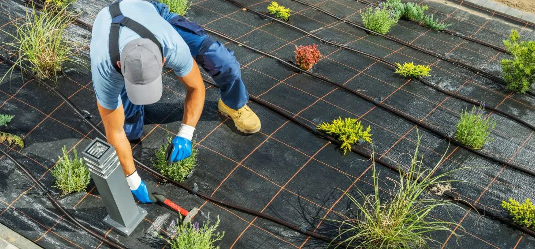 Zdjęcie Linia kroplująca czy zraszacz? Który system wybrać do ogrodu?