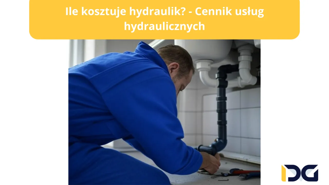 Zdjęcie Ile biorą hydraulicy od punktu? Poznaj ukryte koszty usług