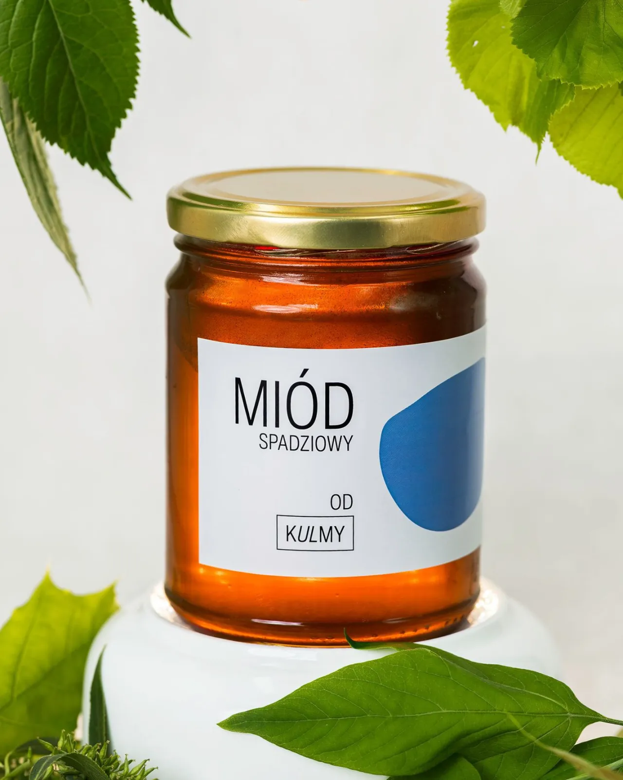 Zdjęcie Jak wygląda miód spadziowy? Odkryj jego wyjątkowe cechy i smak