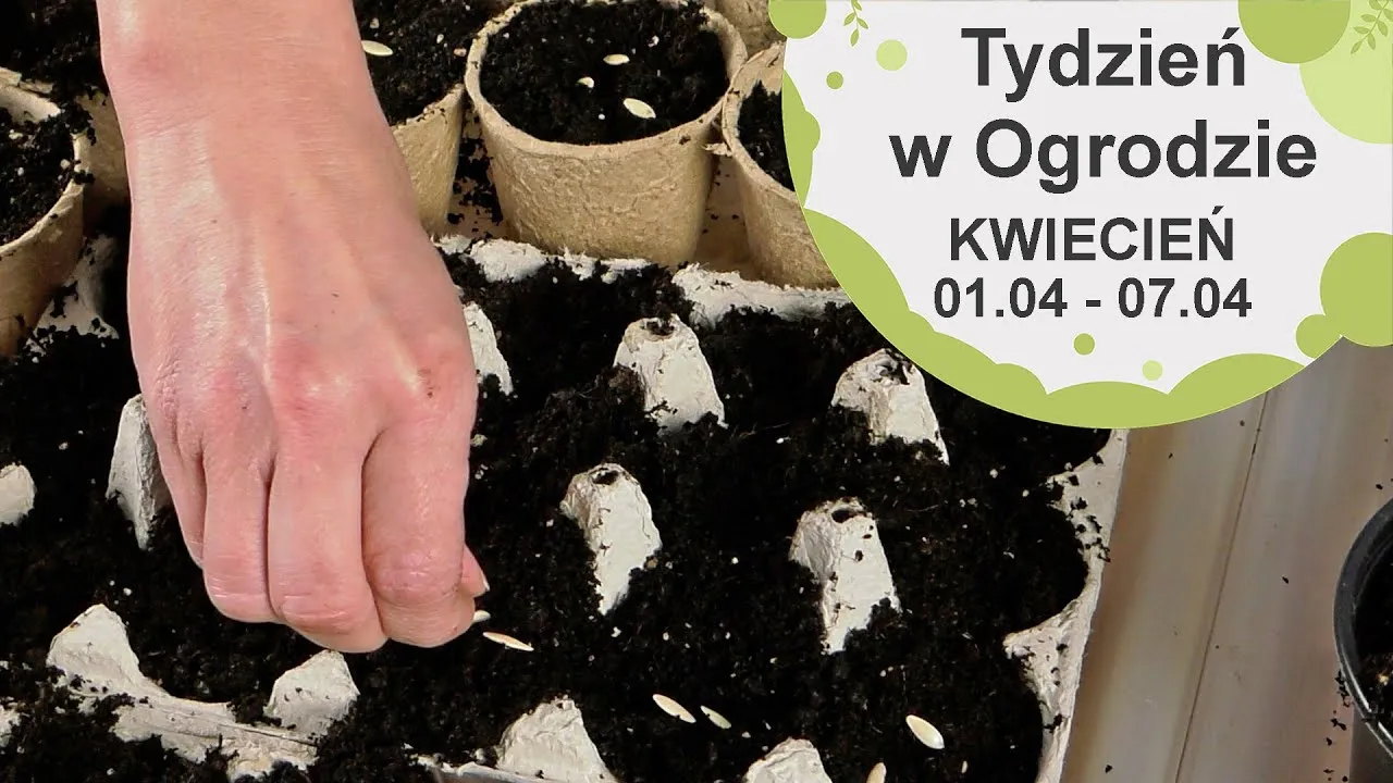 Zdjęcie Kwiecień w ogrodzie: Kompleksowy przewodnik po pracach i poradach