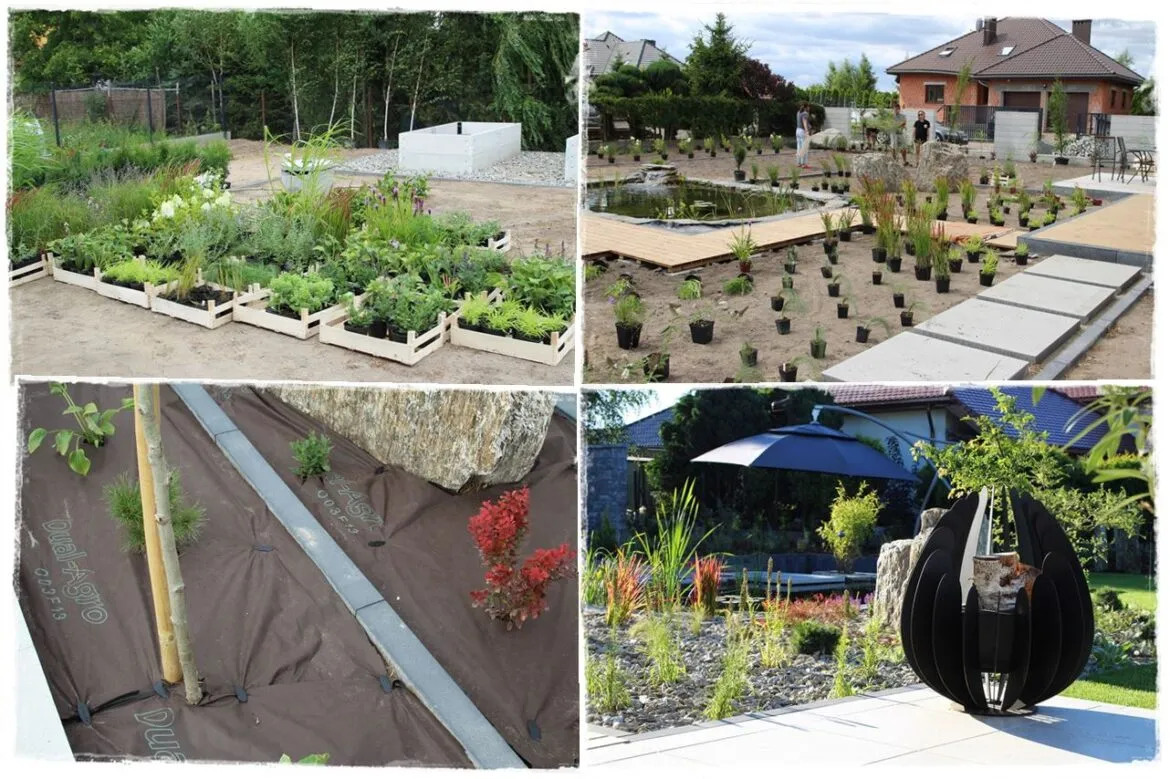 Zdjęcie Sadzenie drzew przed ogrodzeniem: przepisy i porady praktyczne