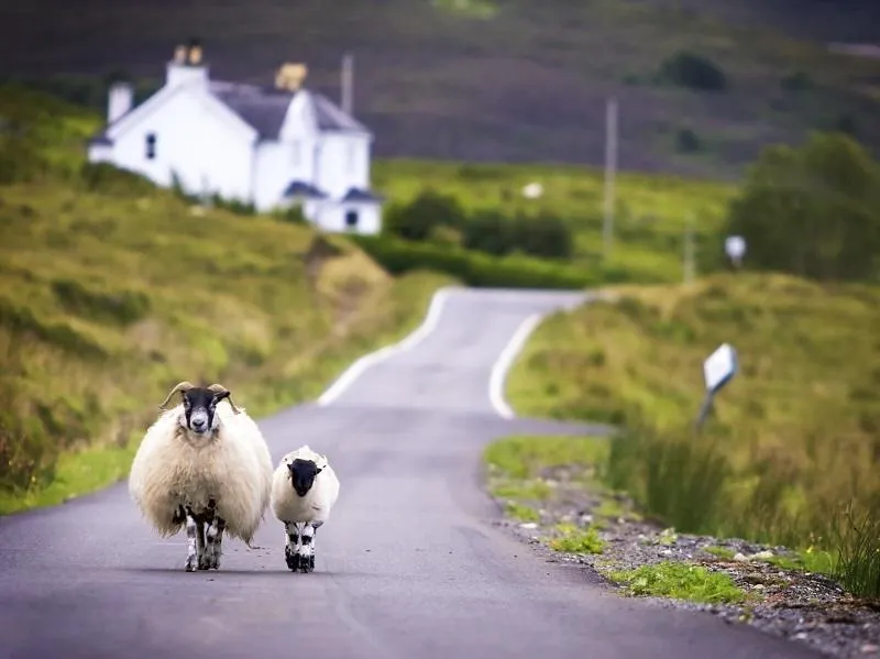 Zdjęcie Ile trwa lot do Szkocji? Sprawdź, co wpływa na czas podróży