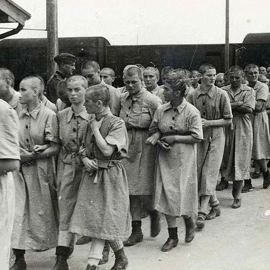 Zdjęcie Kto zginął w Auschwitz? Wstrząsające historie ofiar i statystyki