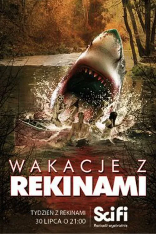 Zdjęcie Najlepsze filmy o rekinach na CDA, które musisz zobaczyć
