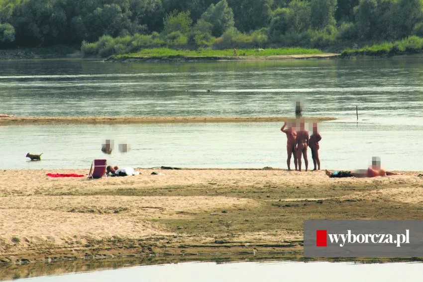 Zdjęcie Plaża błota w Warszawie - kompletne informacje o plaży naturystów w Falenicy