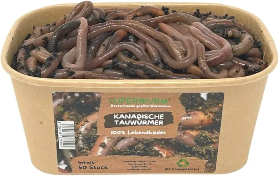 Zdjęcie Ile kosztują robaki na ryby? Ceny i porównania różnych gatunków