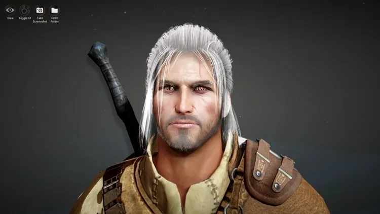Zdjęcie Spolszczenie Black Desert - jak uzyskać polski język w grze?