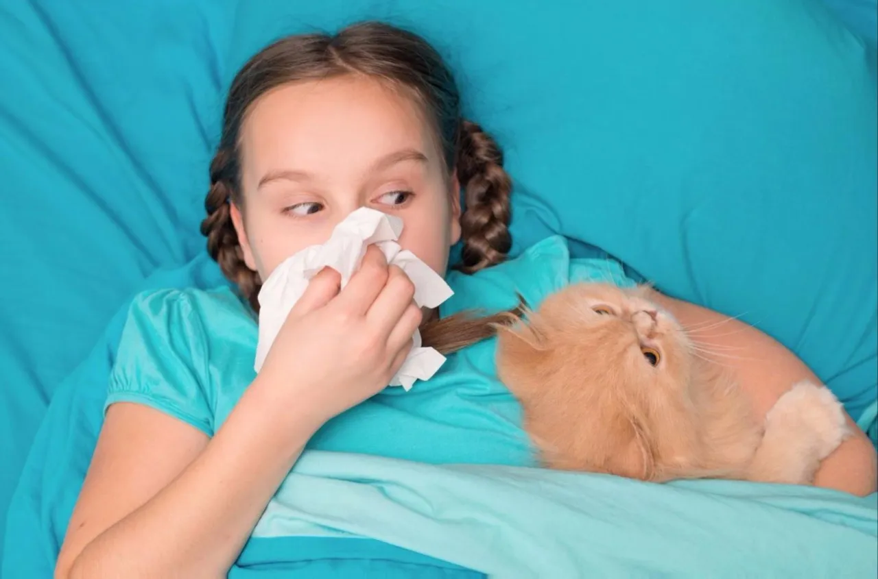 Zdjęcie Alergia na kota u dziecka: objawy, które mogą zaniepokoić rodziców