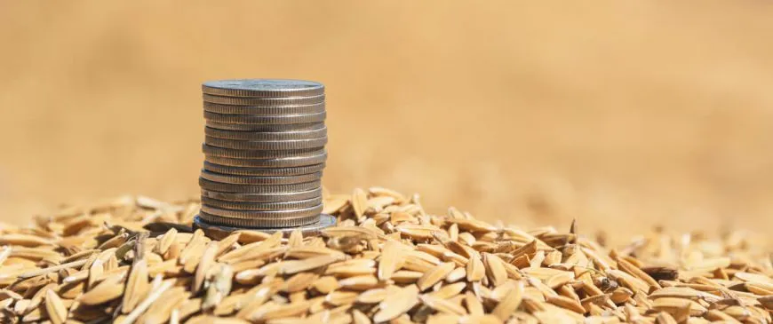 Zdjęcie Ceny pelletu – ile naprawdę kosztuje pellet i co wpływa na cenę?
