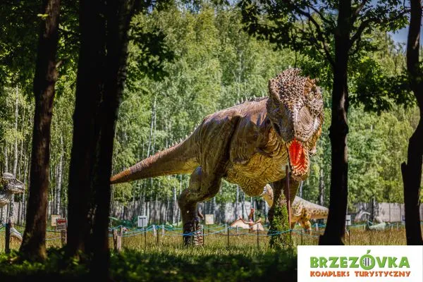 Zdjęcie Najciekawsze atrakcje w Kolbuszowej, które musisz zobaczyć