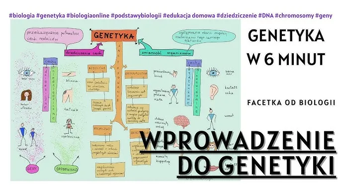 Zdjęcie Biologia: Czym jest genetyka i jakie ma znaczenie dla życia?