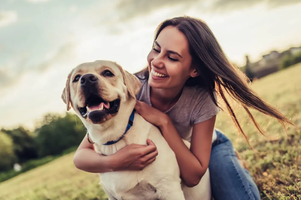 Zdjęcie Jak długo żyją golden retrievery? Fakty, które mogą cię zaskoczyć