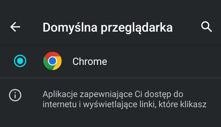 Zdjęcie Jak ustawić przeglądarkę jako domyślną i uniknąć frustracji z tym związanych