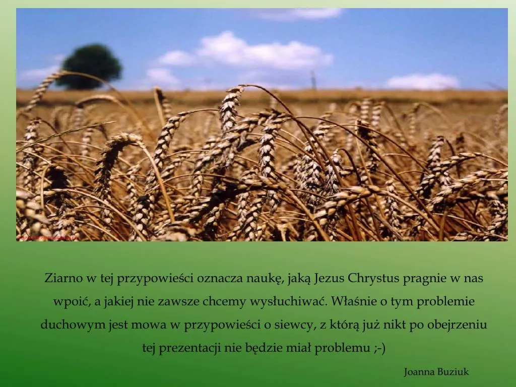Zdjęcie Czego uczy nas przypowieść o siewcy? Kluczowe lekcje i duchowe przesłanie