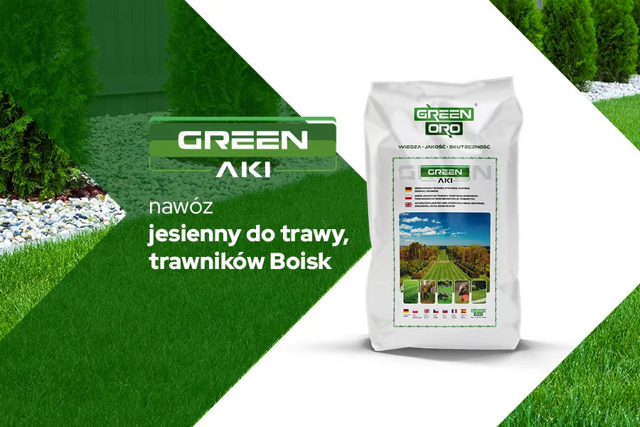 Zdjęcie Kiedy nawóz do trawy? Najlepszy czas i sposób nawożenia trawnika