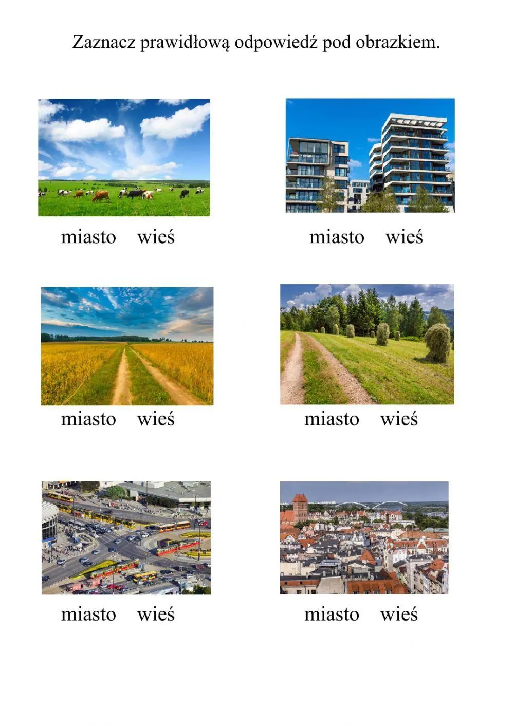 Zdjęcie Miasto czy wieś rozprawka: Co wybrać dla lepszego życia?