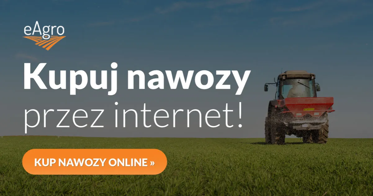 Zdjęcie Ile nawozu na 1 ha zboża – uniknij błędów w nawożeniu i zwiększ plony