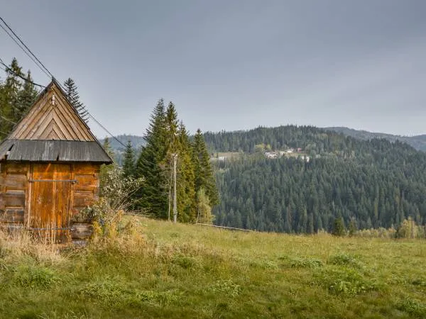 Zdjęcie Bacówka u Winiarskich: tradycyjne sery, regionalne potrawy i atrakcje w Beskidach
