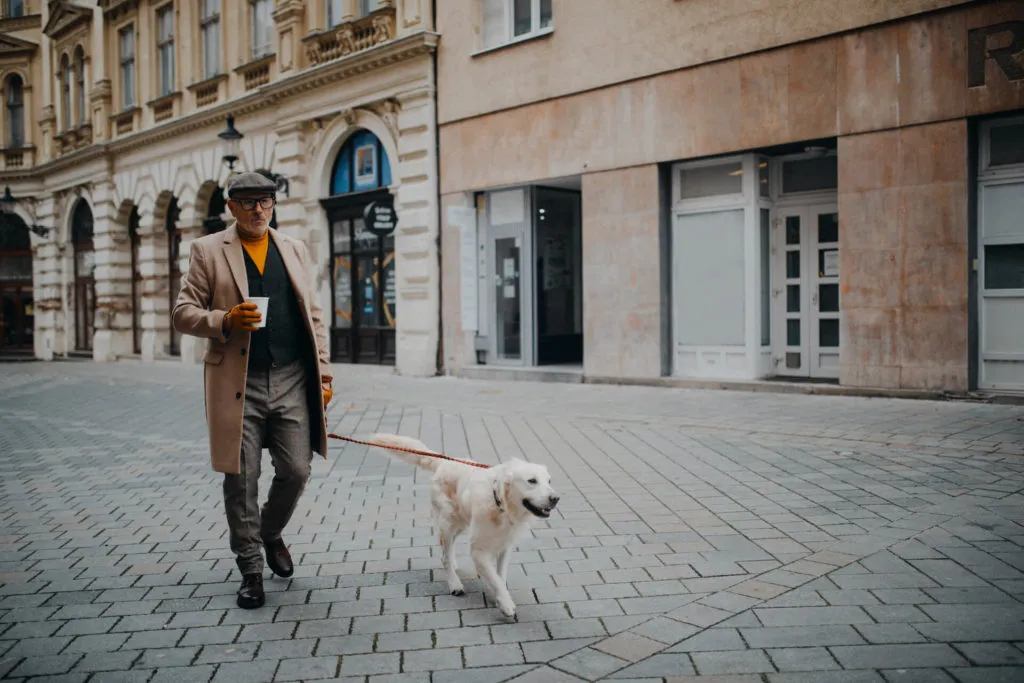 Zdjęcie Gdzie na spacer z psem w Pomorskiem? Odkryj najlepsze miejsca