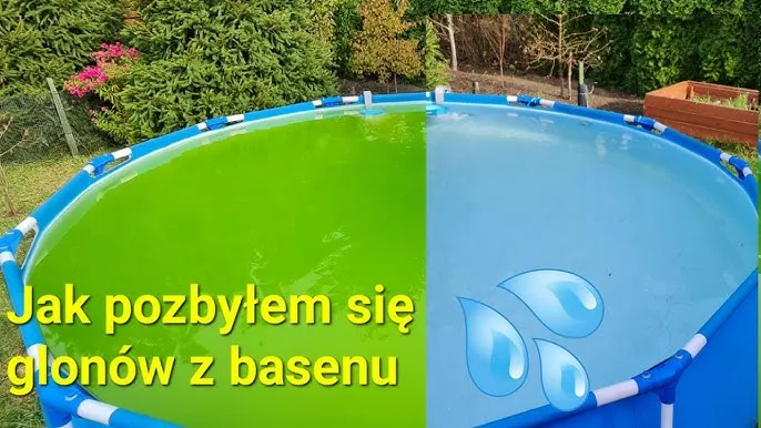Zdjęcie Skuteczne sposoby na usunięcie glonów z basenu ogrodowego bez wysiłku